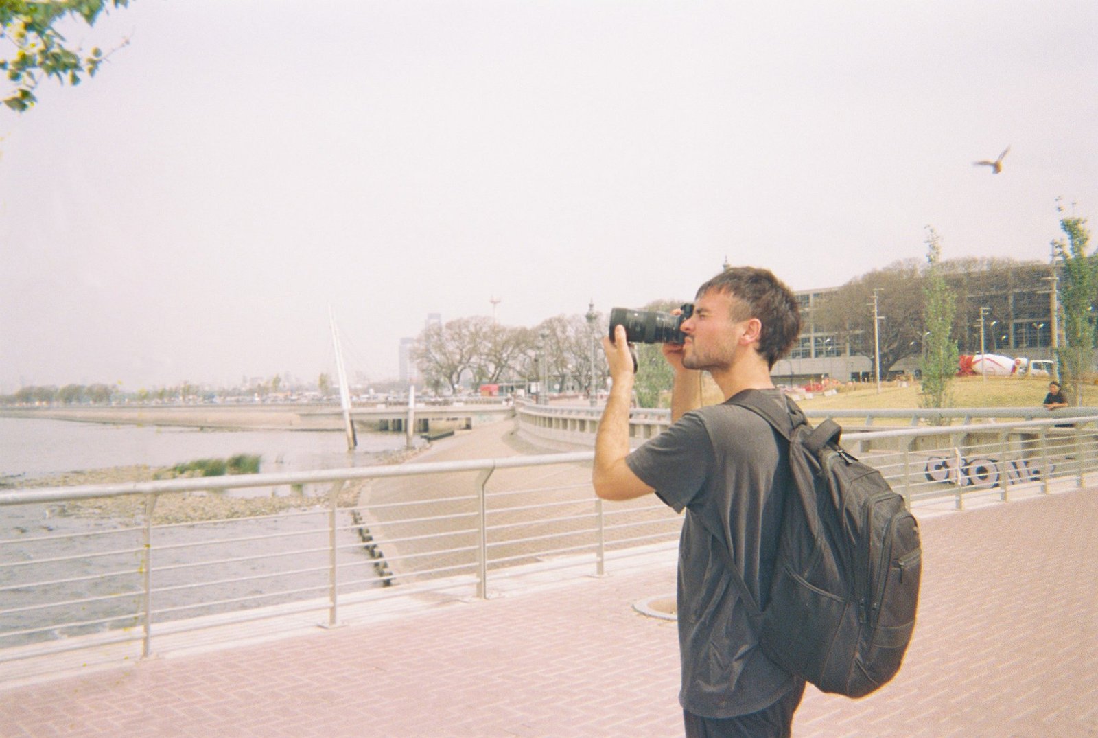 Director